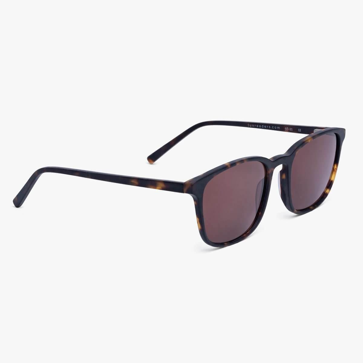 Men's Ebeltoft Dark Turtle sunglasses with brown lenses by Luxreaders